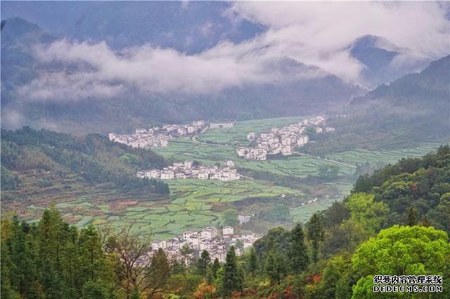 实拍中国最美乡村的春天，婺源万亩油菜花盛放，云海梯田天上人间