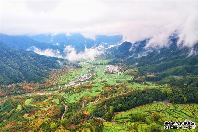 实拍中国最美乡村的春天，婺源万亩油菜花盛放，云海梯田天上人间