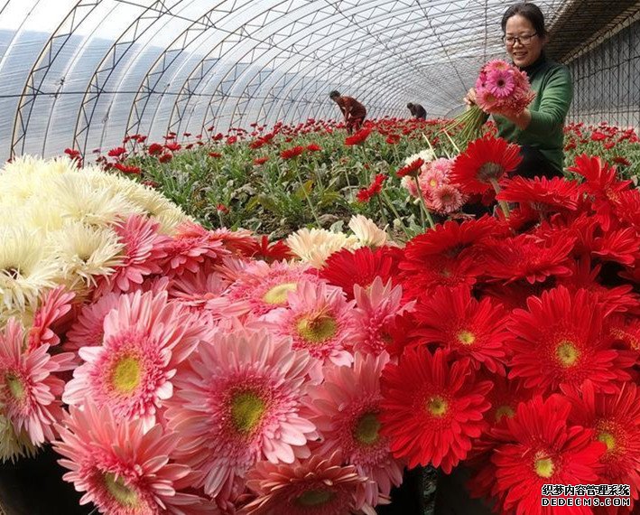 广东省药监局：收回广州昌盛药业《互联网药品