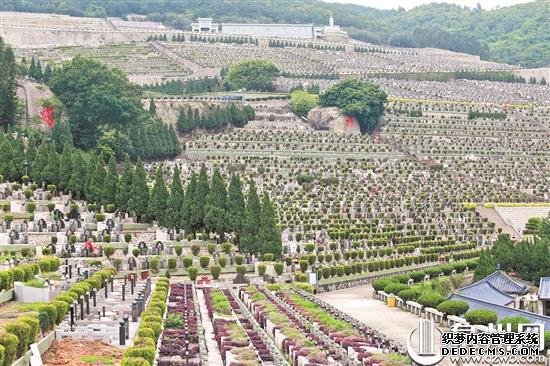 泉州暂停现场祭扫活动 网上祭扫遥寄哀思一样情