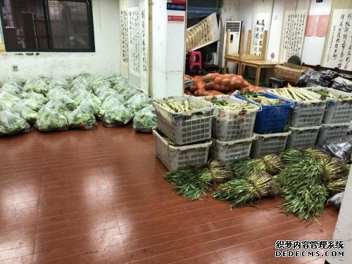 武汉4000亩蔬菜种植地，苏宁菜场承包了