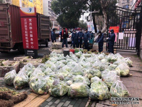 武汉4000亩蔬菜种植地，苏宁菜场承包了