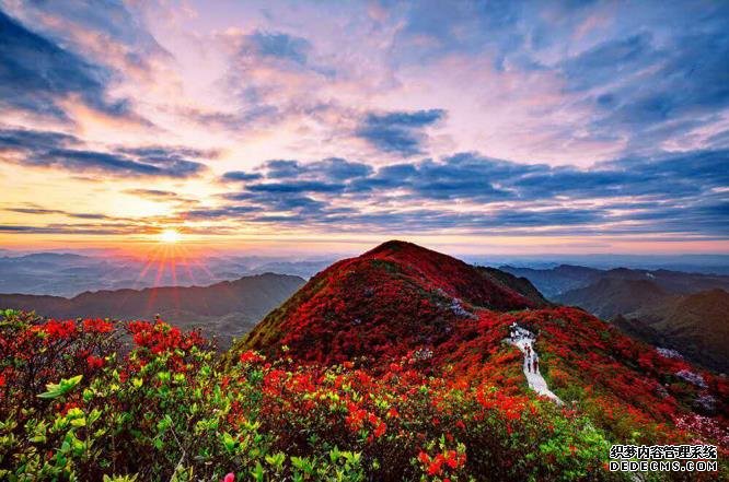 春茶、杜鹃、美食，这里有五一节你不得不去的三个理由