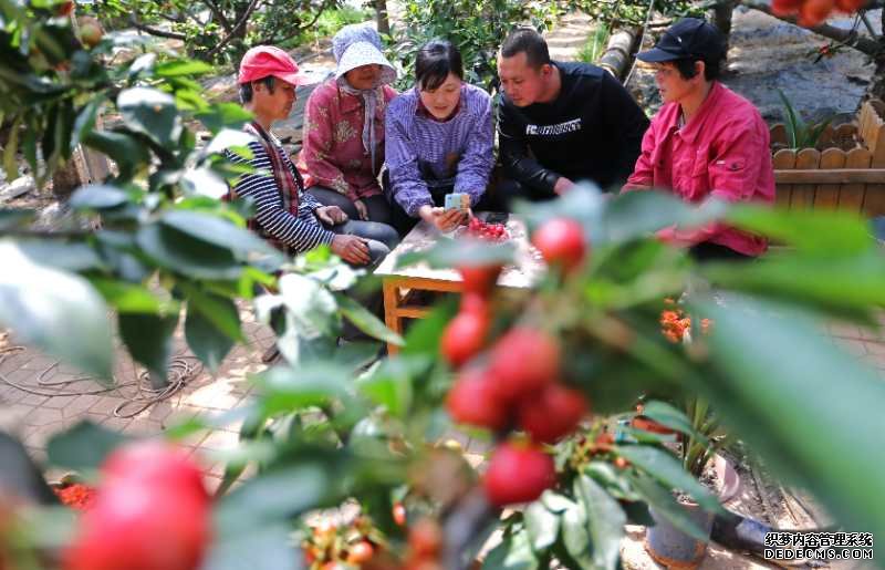 沂源大樱桃网上推介会暨第十六届沂源大樱桃节