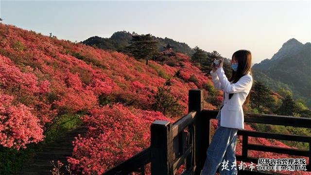 智能手段助力防疫，乡村旅游回暖明显，五一假期湖北文旅市场秩序井然