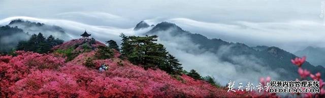 智能手段助力防疫，乡村旅游回暖明显，五一假期湖北文旅市场秩序井然