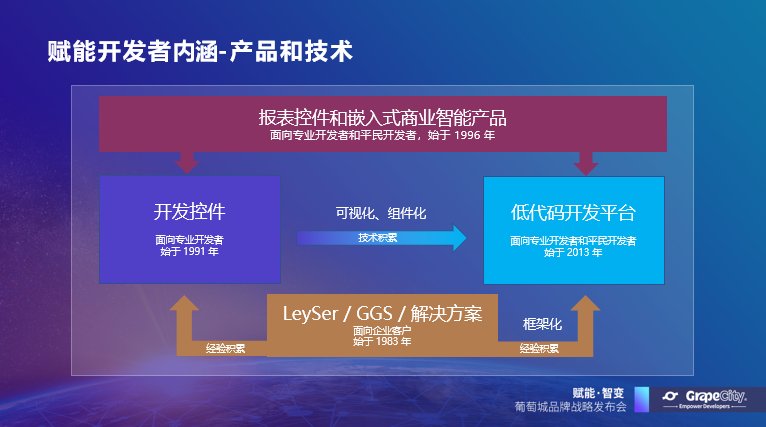 葡萄城发布“赋能开发者”业务使命