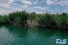 探访新疆乌伦古湖国家湿