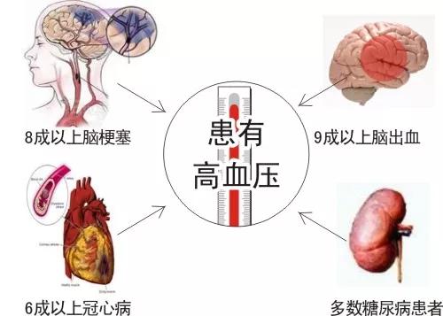 揭露“三高”真相：高血压、高血脂、高血糖