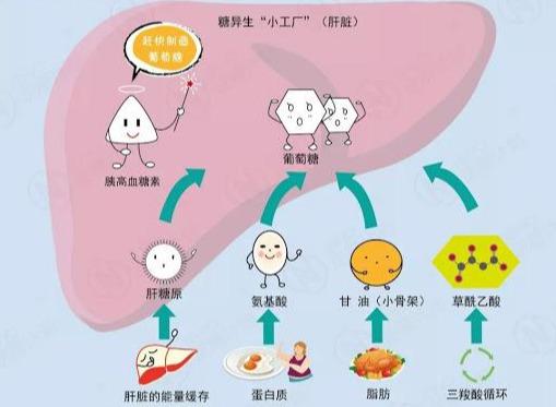 现代人的健身问题溯源：我的心理状态早已追不上刻苦训练的自己