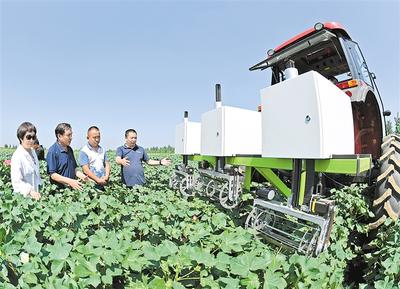 河北省首次採用智能機械化技術為棉花打頂