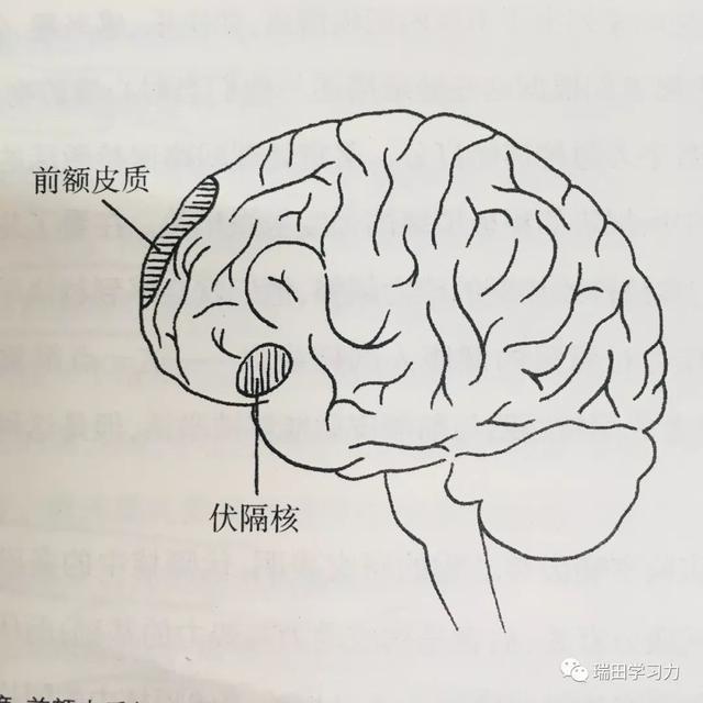 如何锻炼积极的心态