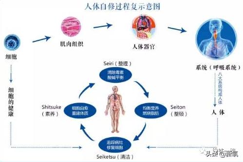 阿黛尔换人演了吗？200斤的体重减掉一半变纸片人，怎么做到的