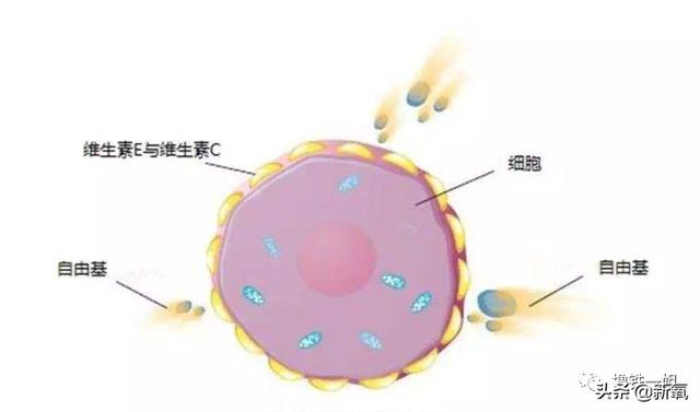 阿黛尔换人演了吗？200斤的体重减掉一半变纸片人，怎么做到的