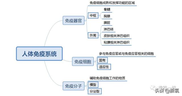 阿黛尔换人演了吗？200斤的体重减掉一半变纸片人，怎么做到的