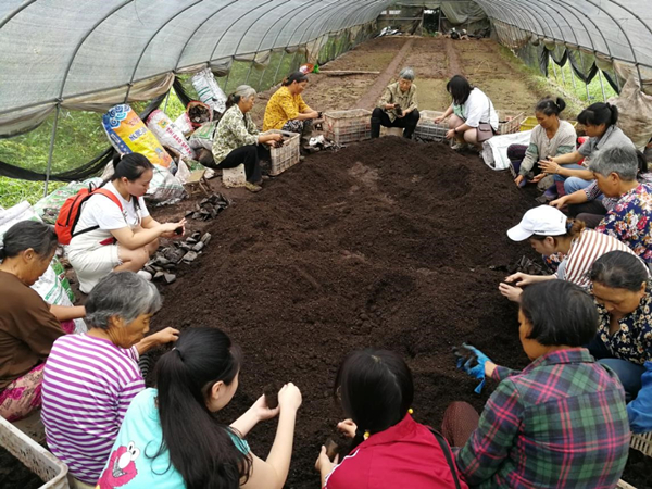 电商助农、“互联网+非遗传承” 重师学子三下乡