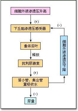 健身过程中没状态？可能不是没休息好，而是你没有及时补充水