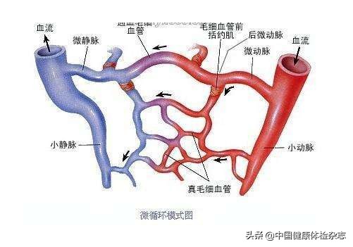 大健康时代打造多元化健康管理新模式