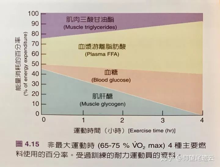 最基础但你还是不知道的健身知识（一）