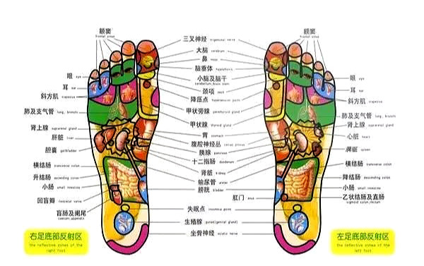 关于胃痛用穴治疗的诸多疑惑