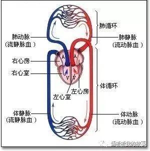 后疫情时代的自我重构：养心3.0-4D保健