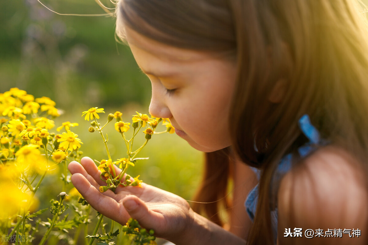 每天3次！帮助鼻子防止寒气侵犯体内。鼻炎或鼻子不灵敏的注意