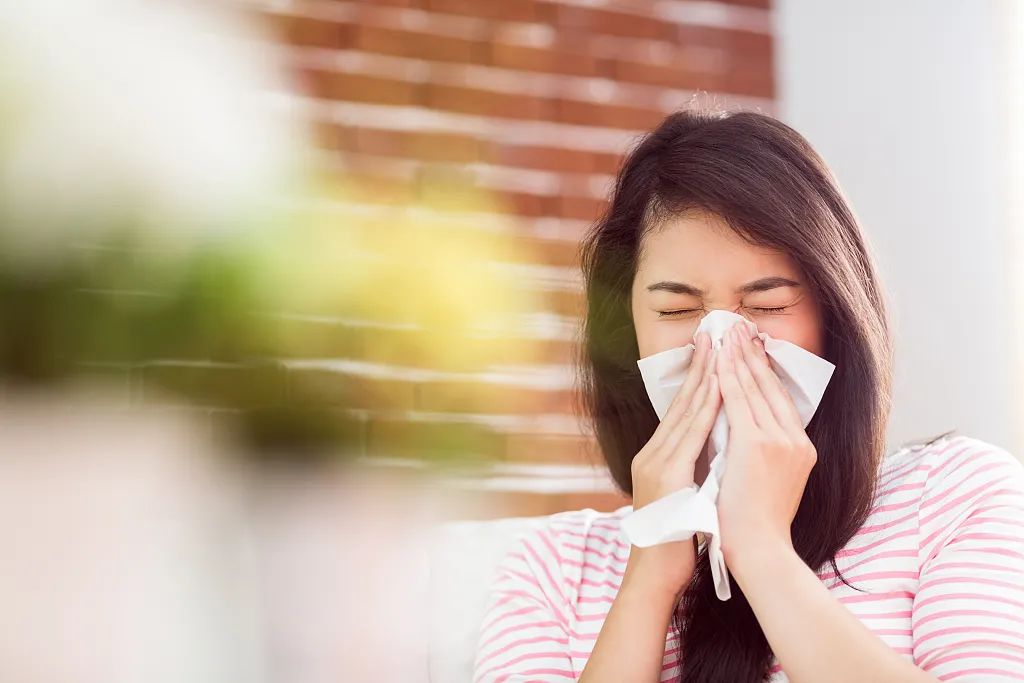 秋季鼻炎高发，如何防范看这里→