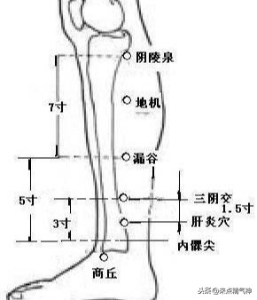 肝脏就是“油烟机”！油污太多导致脂肪肝，穴位“揉”回去