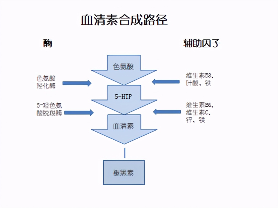 抑郁症与焦虑症（四）：补充色氨酸，5HTP的作用