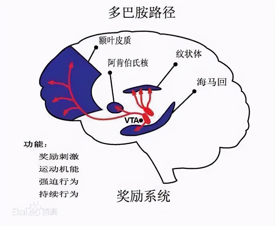 吃货的困扰：“为啥我明明不饿却总想吃东西？”