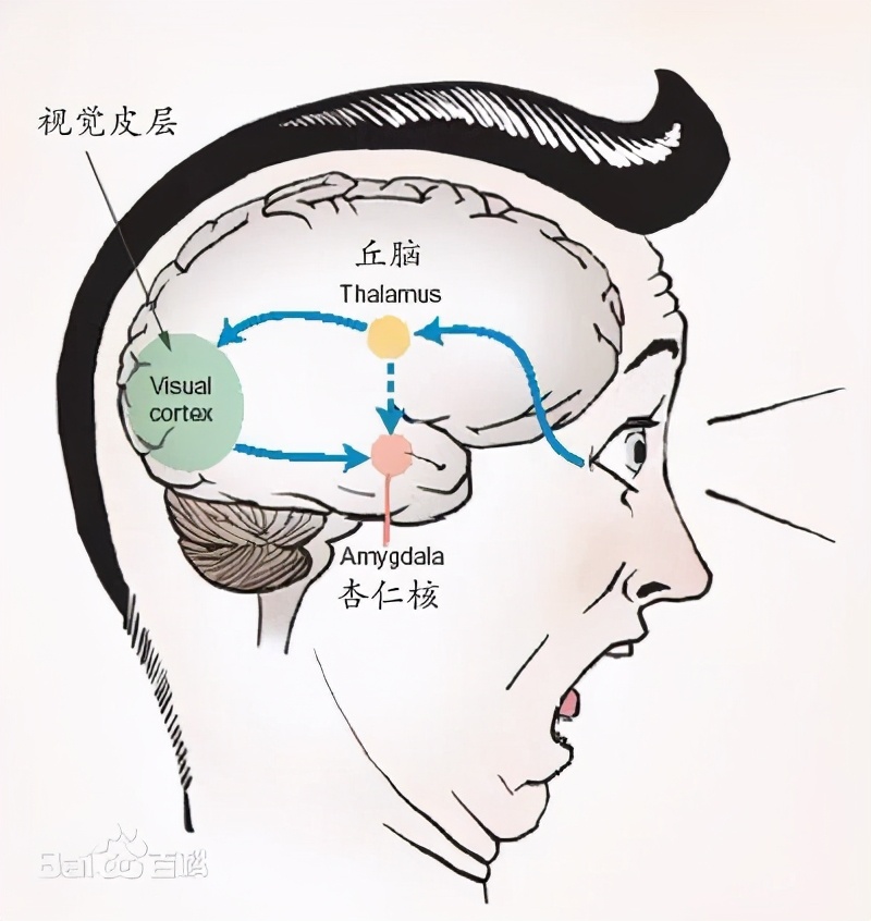 吃货的困扰：“为啥我明明不饿却总想吃东西？”